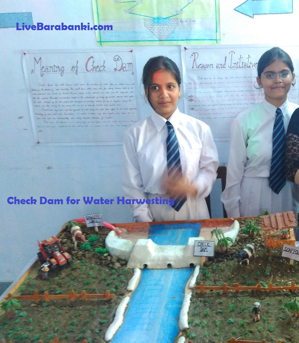 Anand Bhawan School Scince and Craft Exhibition  2015